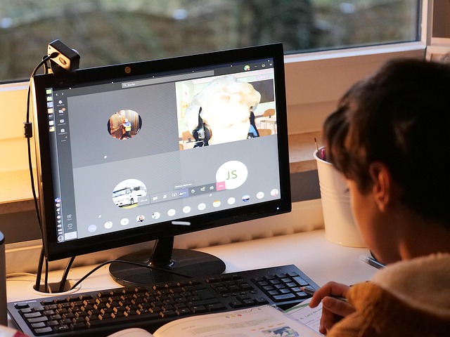 online workshop video call screen