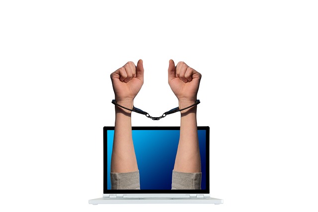 online workshop laptop video call